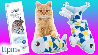 Kitties Review the Groovy Fish Catnip Toy from Catit [upl. by Bouley]