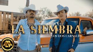 Los Dos Carnales  La Siembra Video Oficial [upl. by Lello]