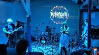 Aethyriem  Schism Tool Cover  Album Debut Party at Bocci’s Cellar  10292021 [upl. by Kandace]