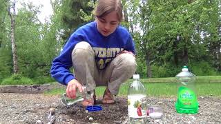 Baking soda  vinegar volcano [upl. by Jeremy23]