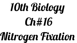 Nitrogen Cycle Nitrogen FixationCh1610th Biology [upl. by Bundy]