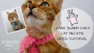 Lenny Bunny Ears Cat Necktie  Catventurous Crochet [upl. by Ecaidnac]