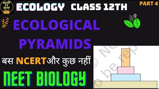 Ecological pyramids class 12th NCERT  Ecology chapter 14 NCERT Line by Line [upl. by Artsa]