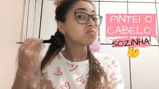 PINTEI O MEU CABELO SOZINHA  Como pintar o cabelo cacheado em casa [upl. by Annwahs301]