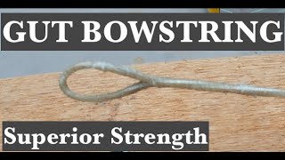 Gut Bowstring [upl. by Gosnell421]