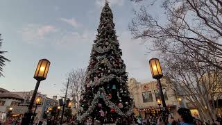 Buena Vista Street Holiday Tree Lighting at Disney California Adventure November 15 2024 [upl. by Ainahpets]