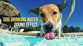 Dog Drinking Water Sound Effect  High Quality  No Copyright Sound Effects [upl. by Steel756]