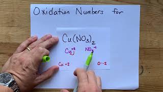 Oxidation Numbers for CuNO32 copper II nitrate [upl. by Nylasoj851]