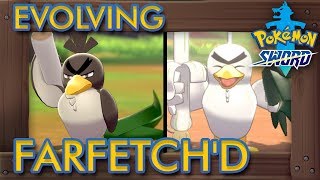 Pokémon Sword amp Shield  How to Evolve Farfetchd into Sirfetchd [upl. by Leirua]