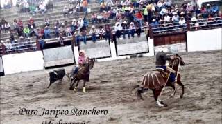 toros mata caballos puro jaripeo ranchero michoacan [upl. by Adorne]