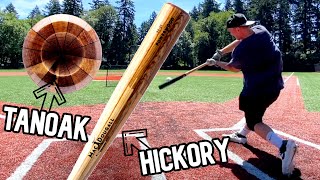 Hitting with the MacDougall PowerWood M21  Wood Baseball Bat Review [upl. by Suoinuj357]