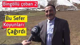 BİNGÖLLÜ ÇOBAN BU SEFER KOYUNLARI ÇAĞIRDI MI   BİNGÖLLÜ ÇOBAN 2  BU SEFER ÇAĞIRDI [upl. by Yral]