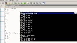 Im Maschinencode programmieren HD [upl. by Hammerskjold886]