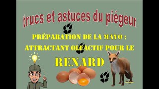 Piéger le renard fabrication de la quotMAYOquot [upl. by Rubina492]