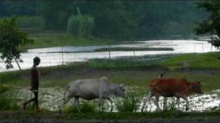 O Amar Bangla Ma Tor  Fahmida Nabi [upl. by Letnuahs]