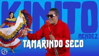 Tamarindo SECO 🪇 KINITOMENDEZOFFICIAL 🤩 Video Oficial [upl. by Heyde674]