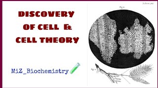 DISCOVERY OF CELLampCELL THEORYMalayalam explanationFYUGPFUNDAMENTAL UNITS OF LIFEBsc biochemistry [upl. by Adilem]