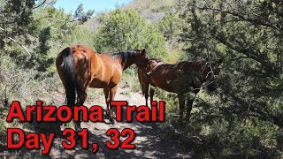 Arizona Trail 2024 Thru Hike Part 16 [upl. by Barbuto]