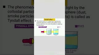 what is tyndall effectclass9science trending shortvideo education viral [upl. by Aveneg]