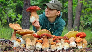 Picking and cooking Porcini mushrooms in Ukrainian forest in June Life in the village [upl. by Kiley]