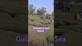 Guliakhali Sea beach guliakhaliseabeach seabeach beach guliakhaliseabeach [upl. by Dustan]