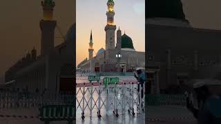 Bhar Do Jholi Meri Ya Muhammad  Short Video  Madina Qawwali [upl. by Xella]