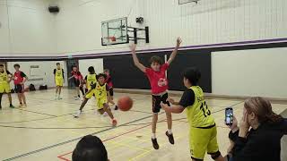 Helix Rise vs Brantford Hawks 20241102  SWOBL [upl. by Herrmann]