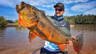 SÓ PEIXES MONSTROS CONHEÇA O LUGAR MAIS COBIÇADO DO MUNDO PARA PESCA DE TUCUNARÉAÇU Pescaria [upl. by Nary161]