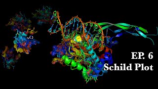 6 Schild Plot  Molecular Pharmacology [upl. by Akenal161]