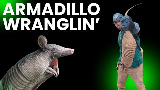 Armadillo Wranglin Armadillo Nuisance Trapping [upl. by Albertson865]