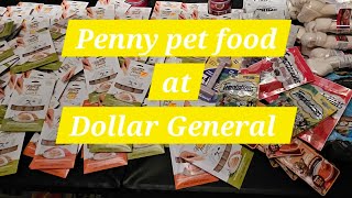 Part 2 Dollar General 1¢ penny shopping Haul [upl. by Carlin]