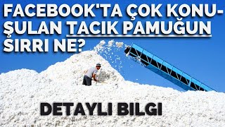 Yurtdışındaki pamuk temizleme şirketinin tanıtım videosu Neden pamuk az çepelli Detaylı bilgi [upl. by Ennaehr886]