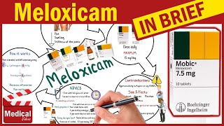 Meloxicam  Mobic 75 amp 15 mg  What is Meloxicam Used For Dosage Side Effects amp Precautions [upl. by Grekin]