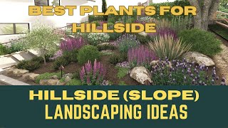 Best Plants For Hillside Landscaping  Slope Area Landscaping Ideas  Front Yard Garden Ideas [upl. by Ransome]