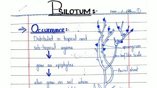 PSILOTUM General characters and Reproduction In hindiUrdu ADSBSCBS [upl. by Hanauq597]