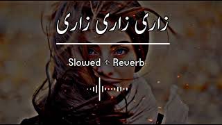 Zari Zari Zari SlowedReverb Pashto Best Song  Pashto Song  New Song 2022 [upl. by Brendis469]