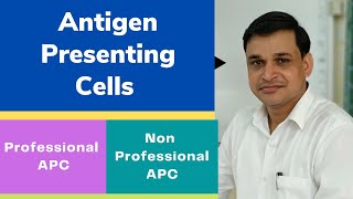 Antigen presenting cells and their types [upl. by Alexandro502]