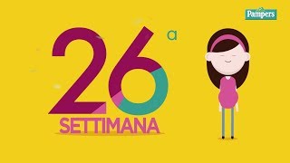 26° settimana di gravidanza [upl. by Curson803]