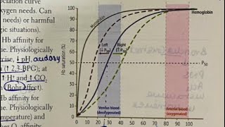 Oxygen dissociation curve made EASY Hindi  neetpg inicet firstaidusmle physiology [upl. by Lasyrc]