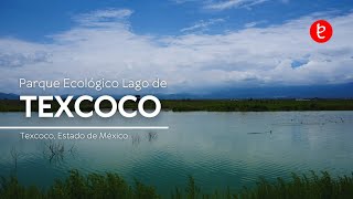 Recorrido por el Parque Ecológico Lago de Texcoco Julio 2024  wwwedemxcom [upl. by Debbee832]