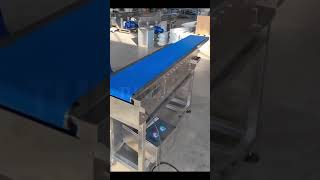 Small Telescopic Belt Conveyor [upl. by Haleelahk]