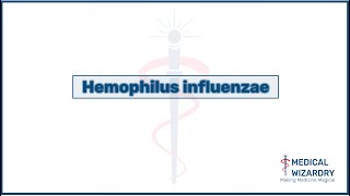 Hemophilus influenza  A 5 min review [upl. by Demetris]