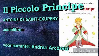 Il Piccolo Principe audiolibro [upl. by Oedama46]