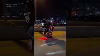 Holding A CBR600 Rev Limiter Wheelie [upl. by Lletram]