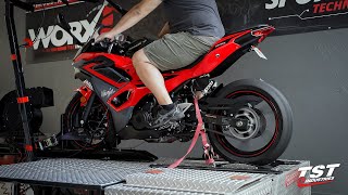 2024 Kawasaki Ninja 500 On the Dyno Raw Power by TST Industries [upl. by Nitnelav108]