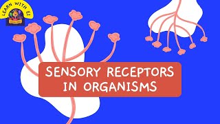 Sensory Receptors  Sensory processing and the brain  Cells and organisms [upl. by Einnob]