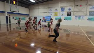 Camberwell Dragons 7 vs Ringwood Hawks 4 [upl. by Nongim]