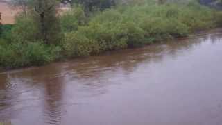 River Isla In Spate Perthshire Scotland October 12th [upl. by Lavine]