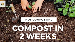 Make compost fast at home  compost in just 2 weeks Rejuvenate old soil before planting a new crop [upl. by Erikson]