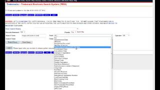 USPTO TESS Structured Search [upl. by Alva]